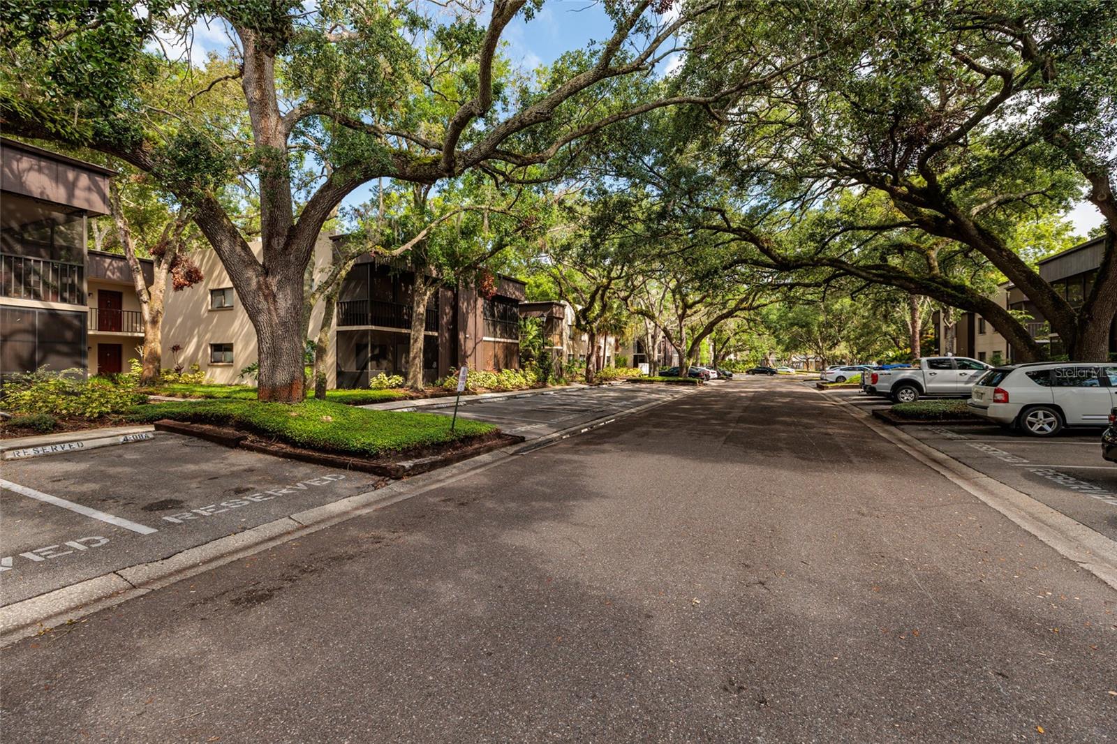 11708 Raintree Village Blvd #A, Temple Terrace, FL 33617