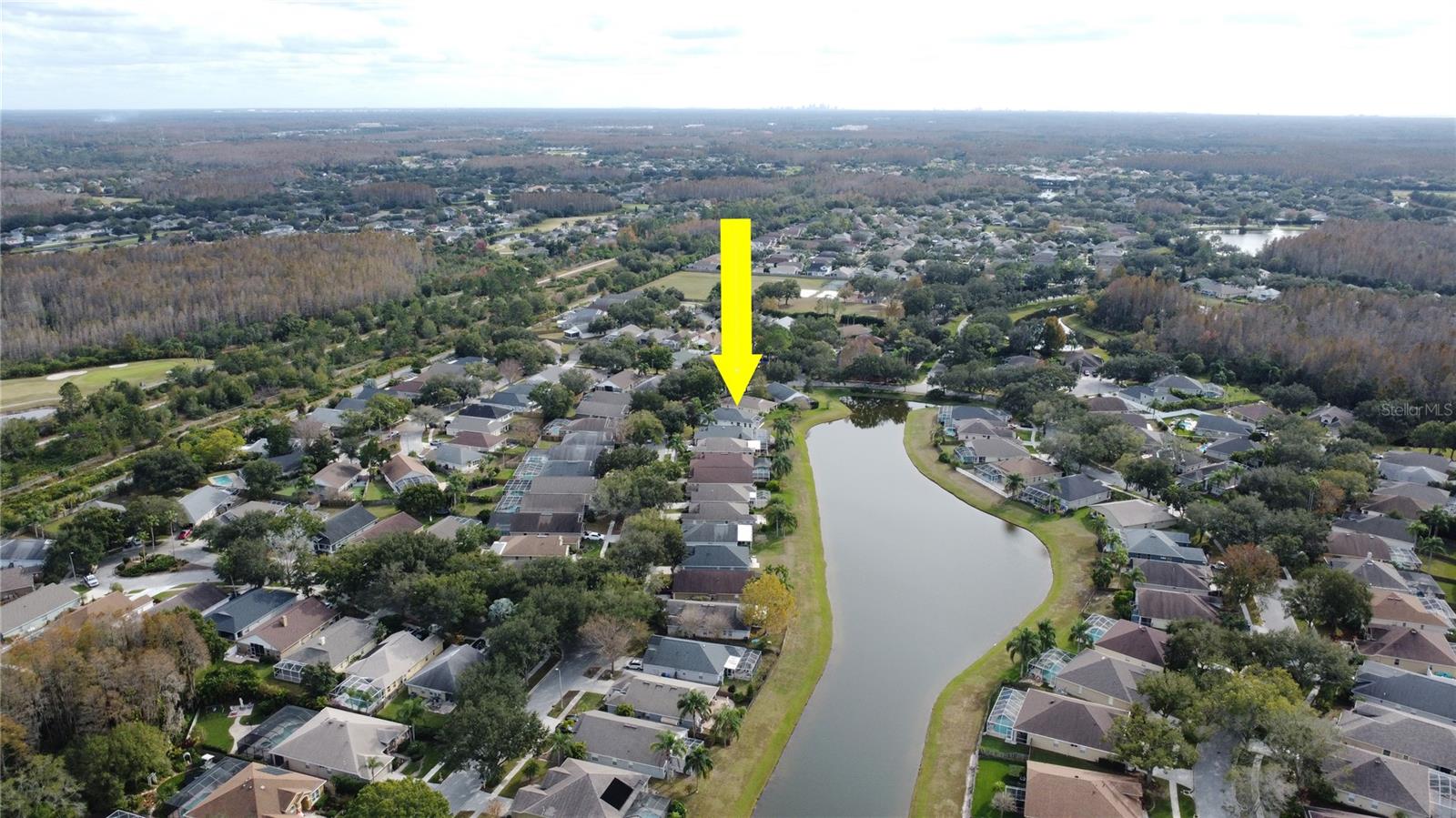 19519 Morden Blush Dr, Lutz, FL 33558