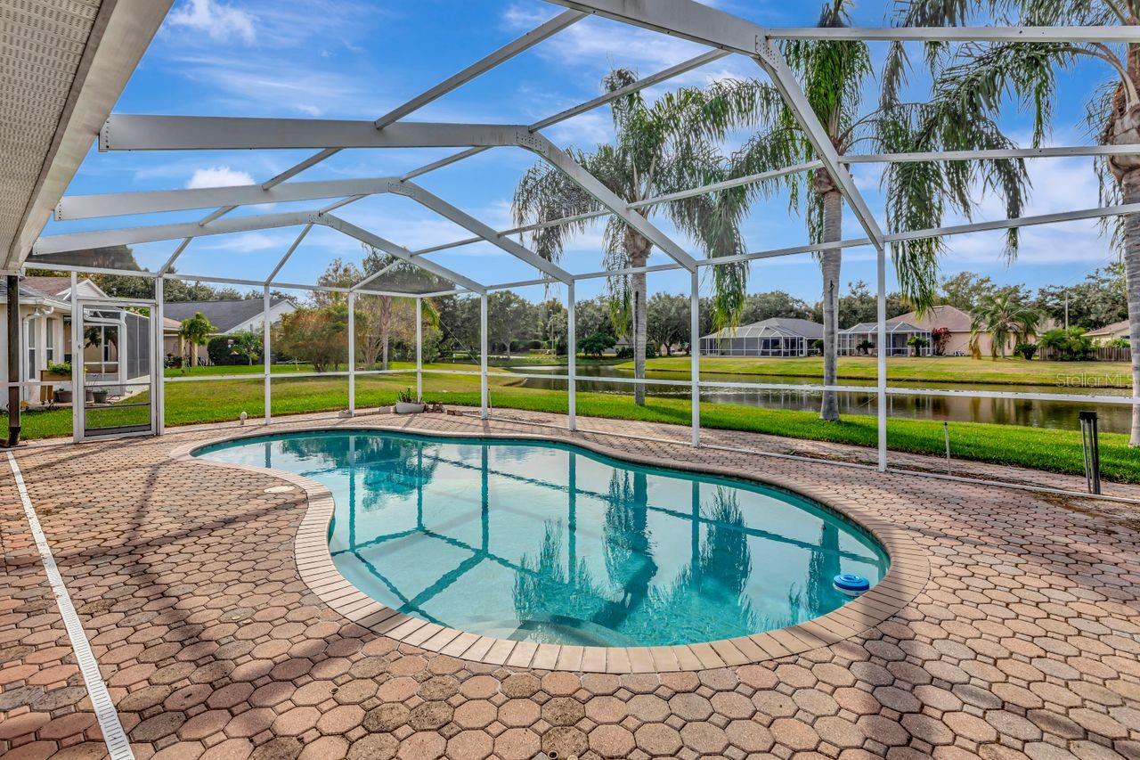 19519 Morden Blush Dr, Lutz, FL 33558