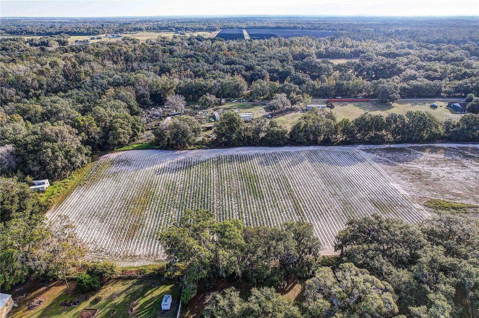 4822 Nesmith Rd, Plant City, FL 33567