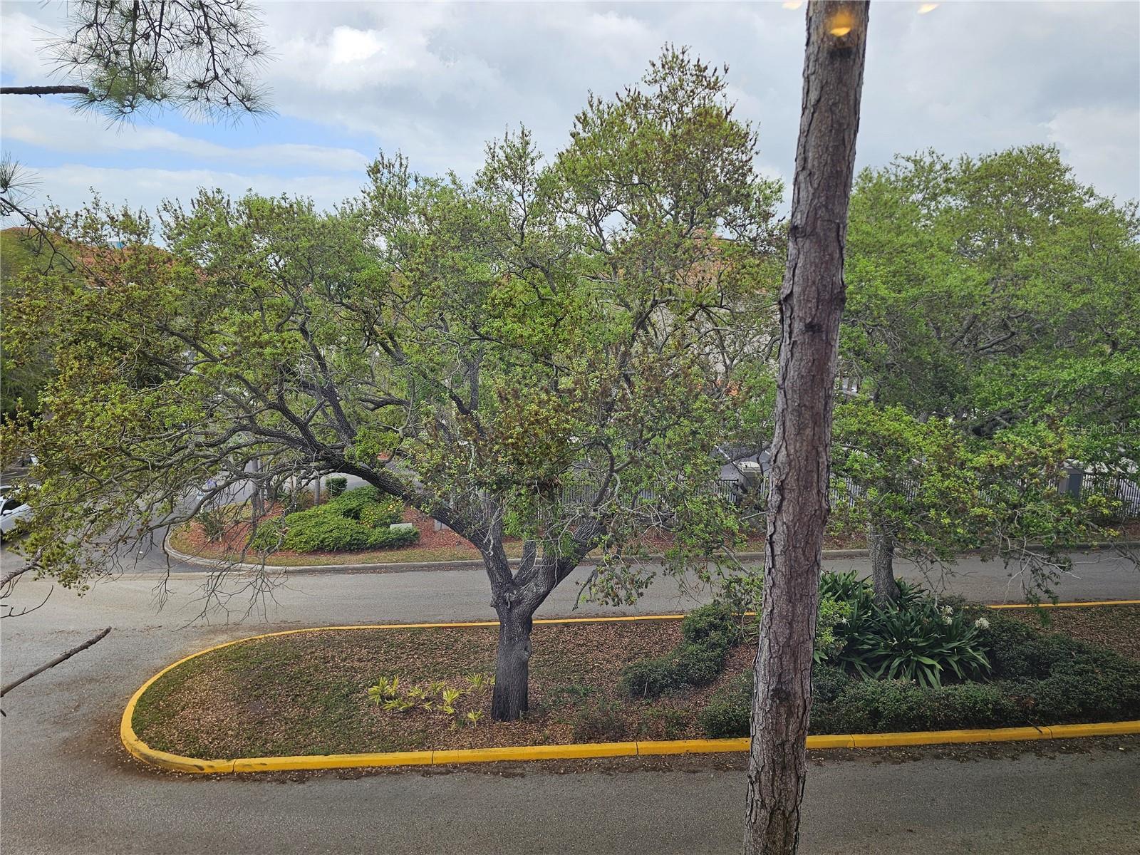 1216 S Missouri Ave #202, Clearwater, FL 33756