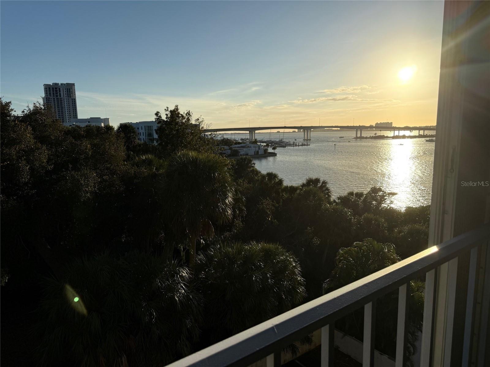 500 N Osceola Ave #403, Clearwater, FL 33755