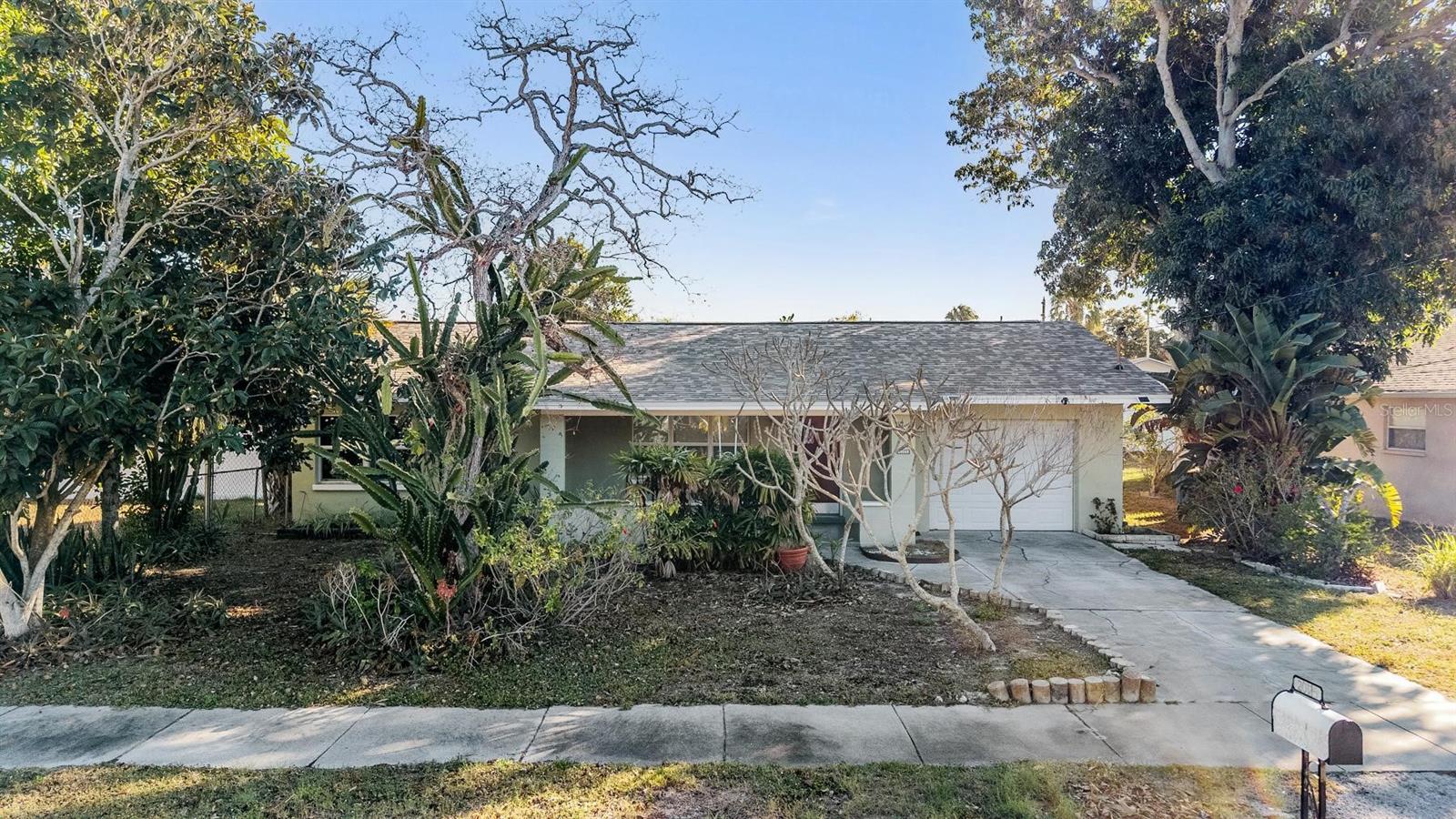 2025 Plaza Dolores, Clearwater, FL 33755