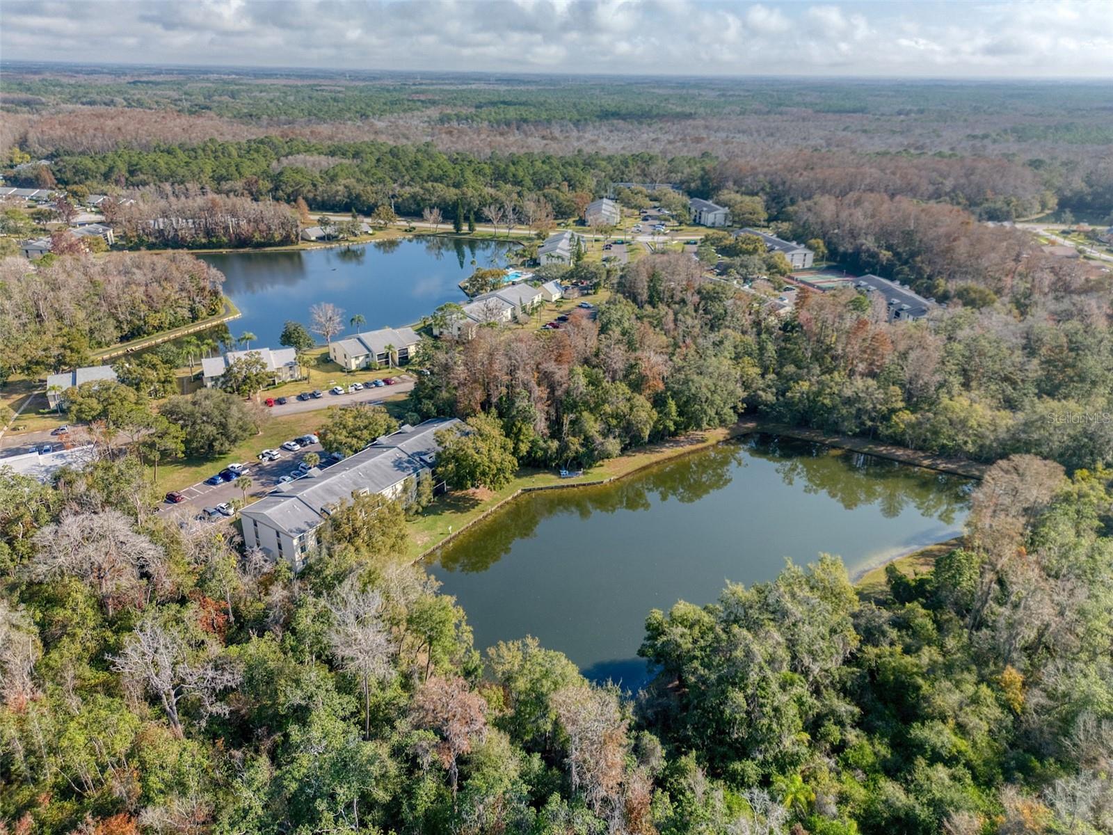 3134 Lake Pine Way #G2, Tarpon Springs, FL 34688