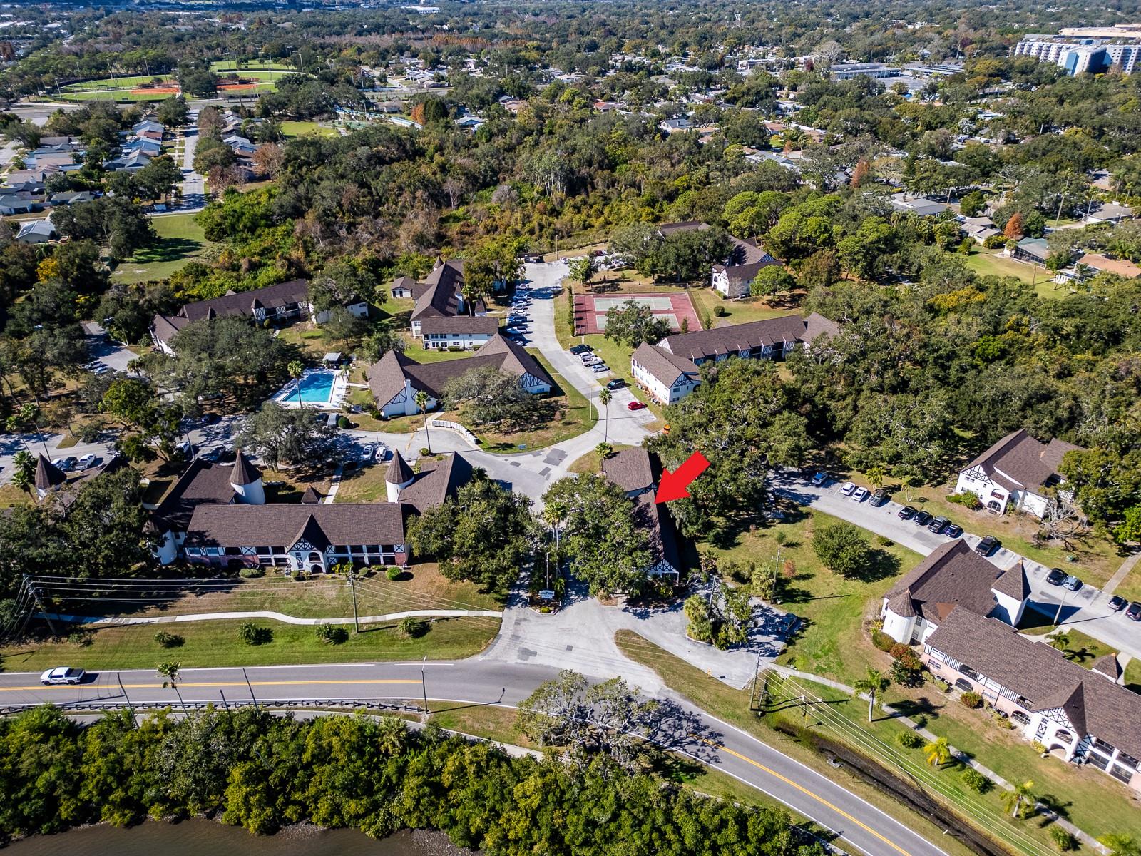310 N Bayshore Blvd #103, Clearwater, FL 33759