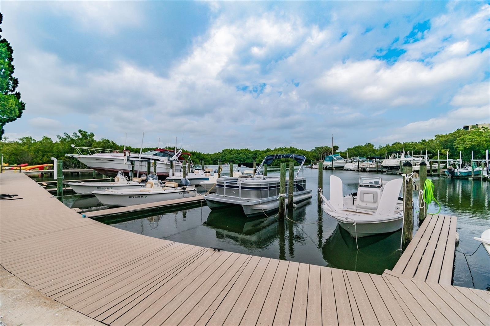2621 Cove Cay Dr #703, Clearwater, FL 33760