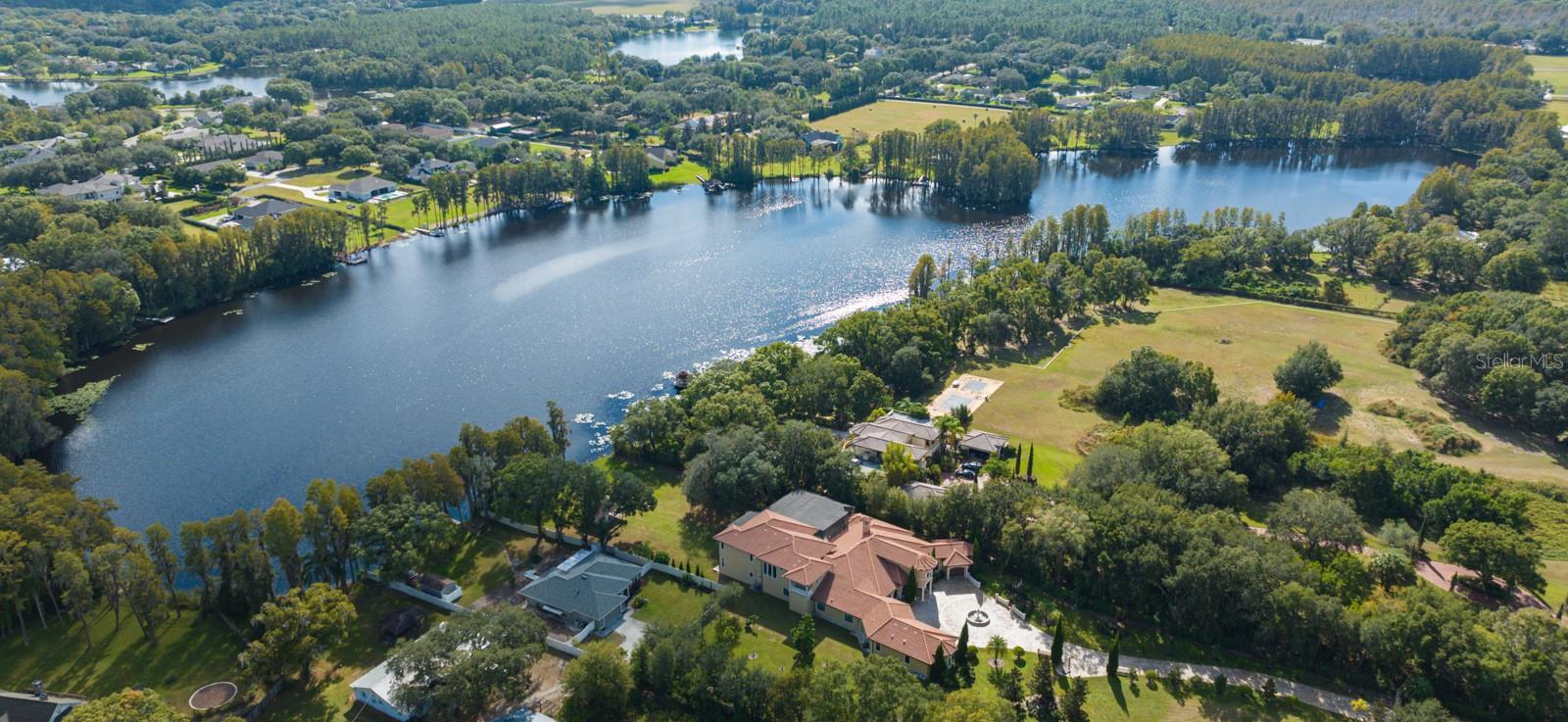 109 Bellamere Palms Ct, Lutz, FL 33549