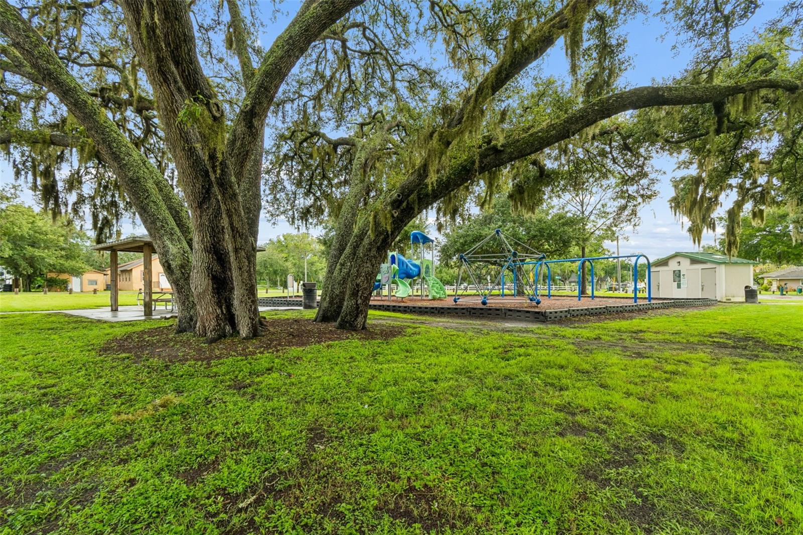 9003 Scott Wilson Ln, Odessa, FL 33556
