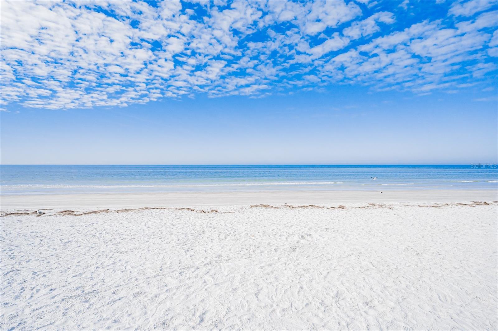 60 Gulf Blvd #203, Indian Rocks Beach, FL 33785