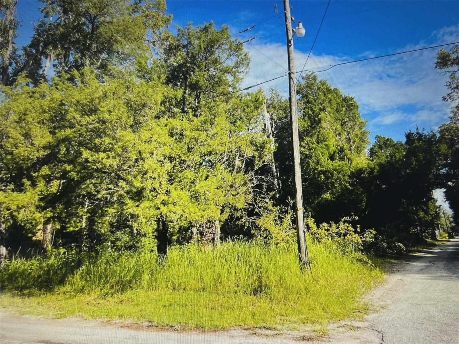 12139 Rutherford Ln, Hudson, FL 34669