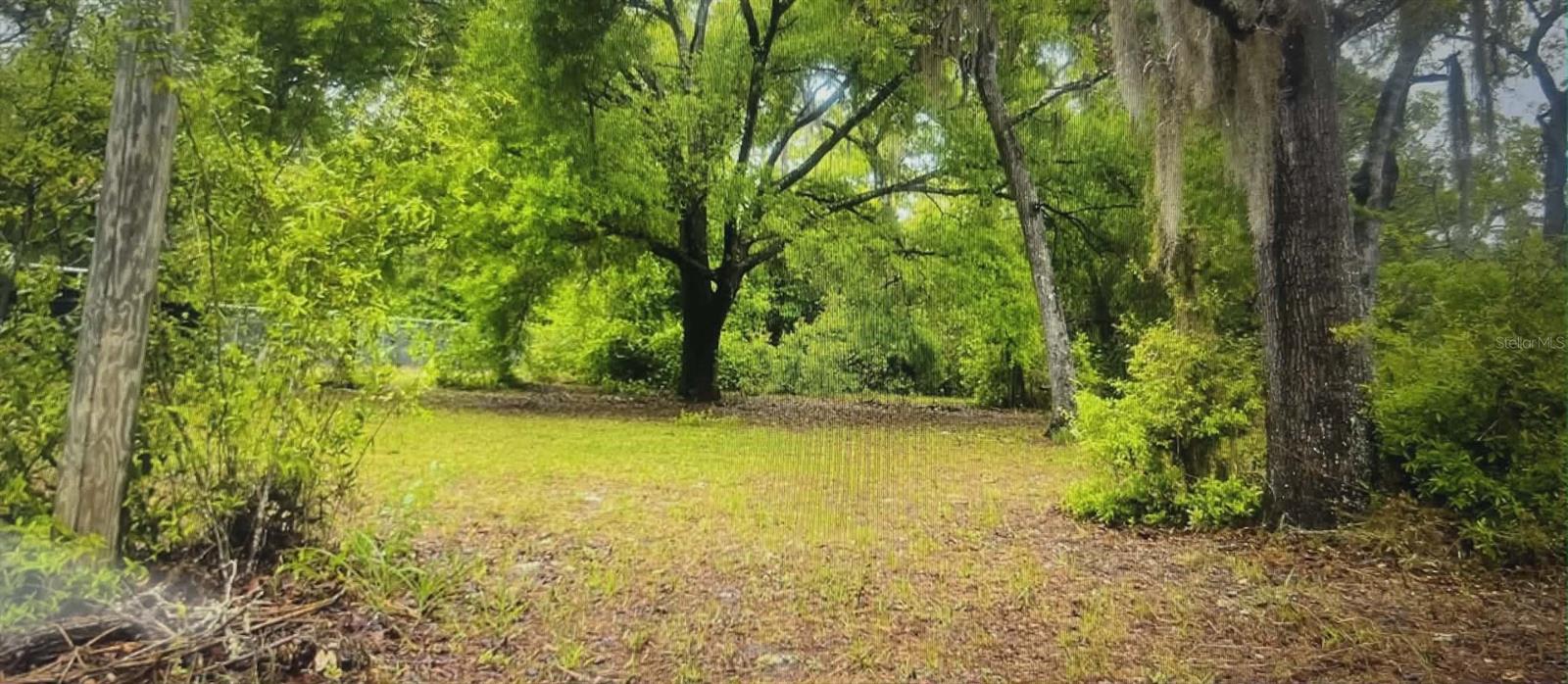 12139 Rutherford Ln, Hudson, FL 34669