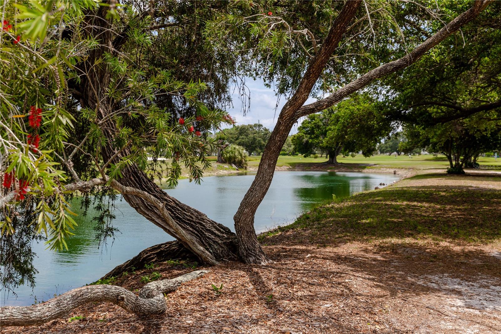 2284 Spanish Dr #50, Clearwater, FL 33763