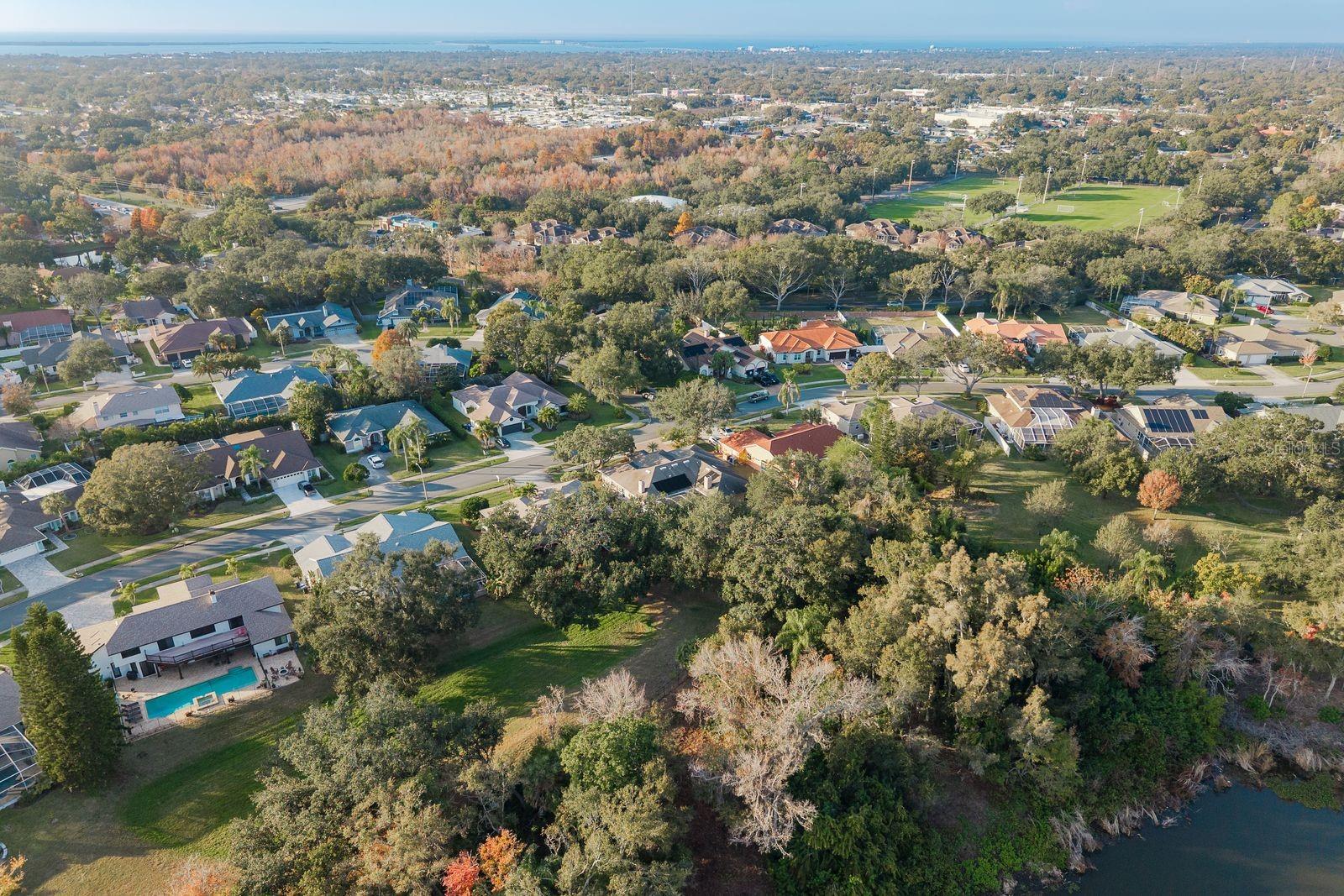 771 Weathersfield Dr, Dunedin, FL 34698