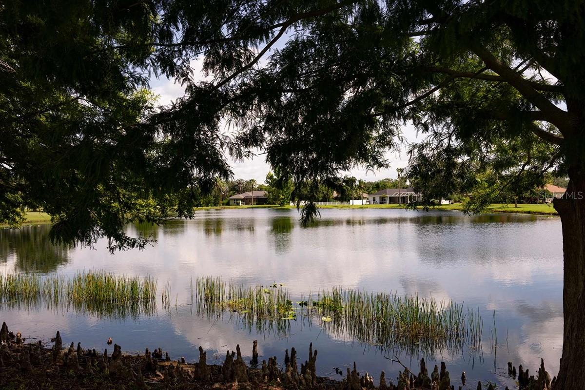 15239 Eastlyn Dr, Bradenton, FL 34212