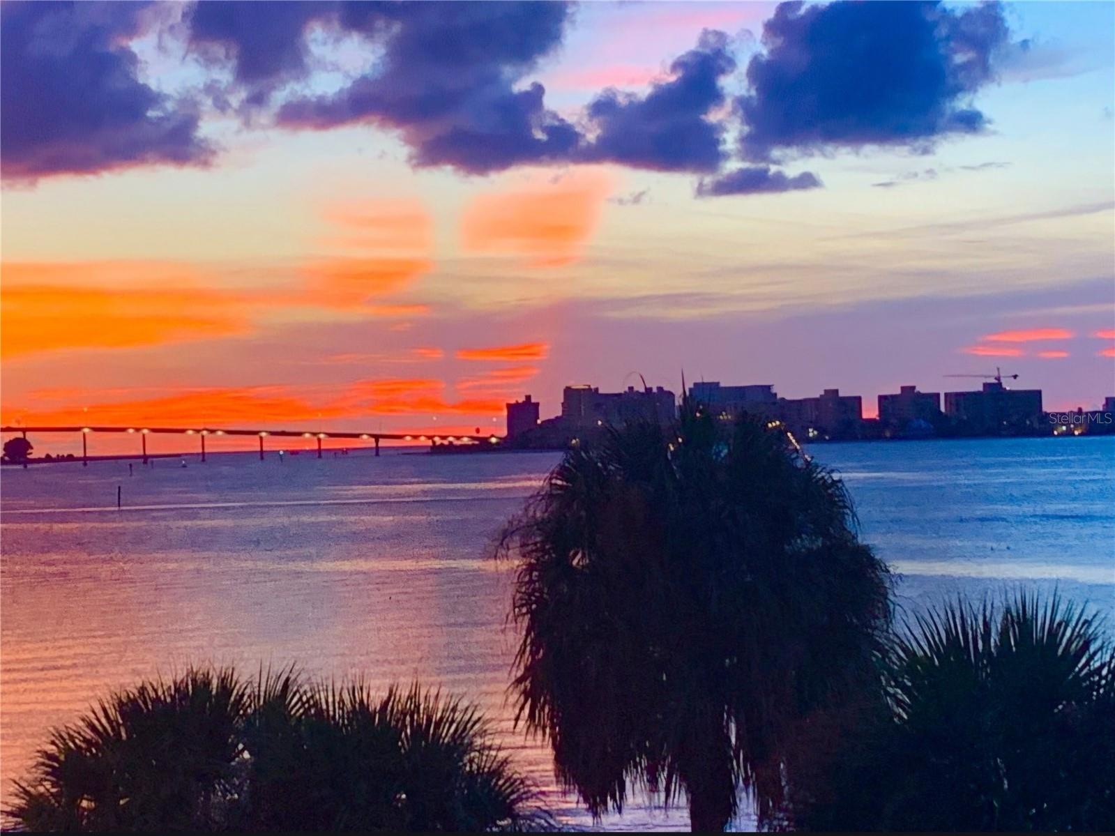 602 Lime Ave #203, Clearwater, FL 33756