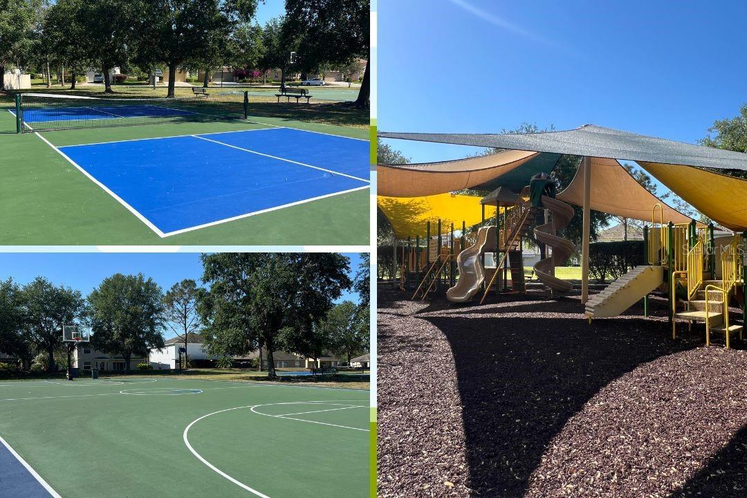 20215 Natures Spirit Dr, Tampa, FL 33647