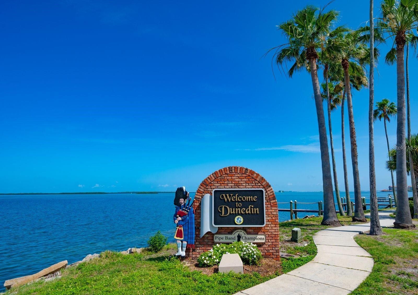 5 Shore Dr, Dunedin, FL 34698