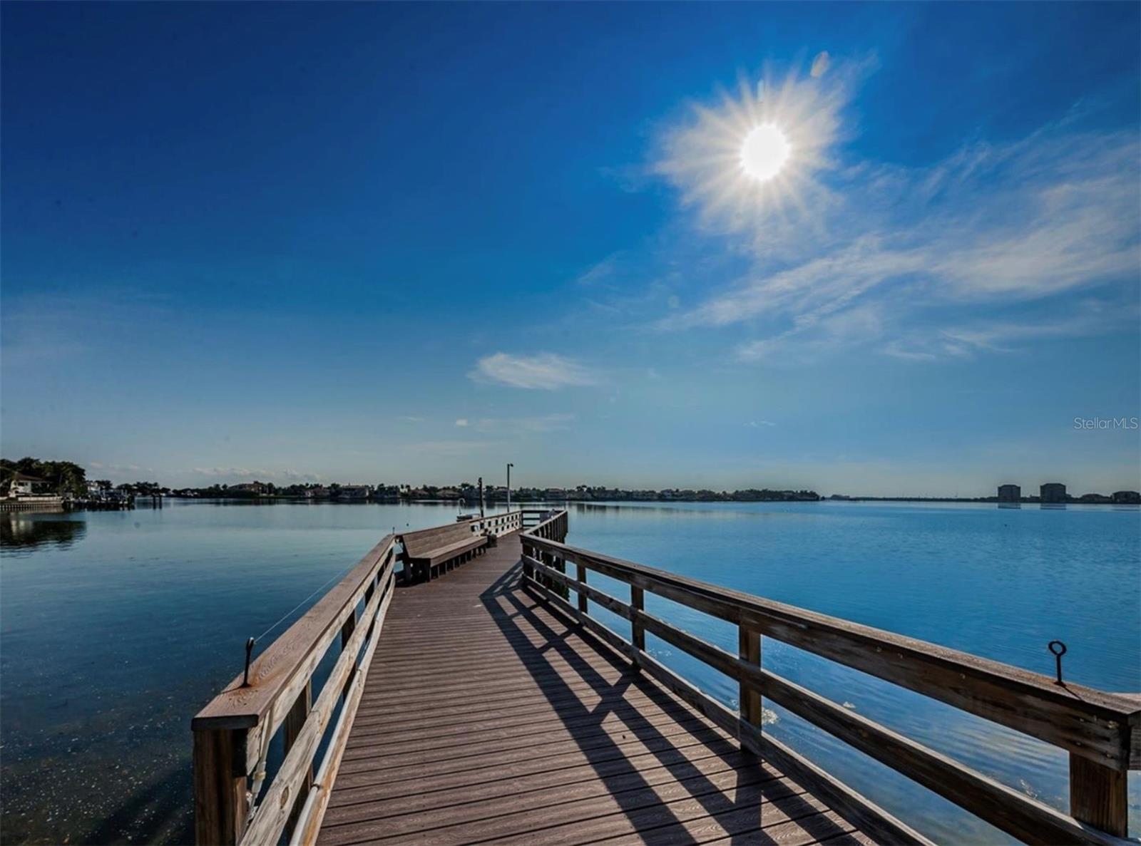 5220 Brittany Dr S #509, St Petersburg, FL 33715