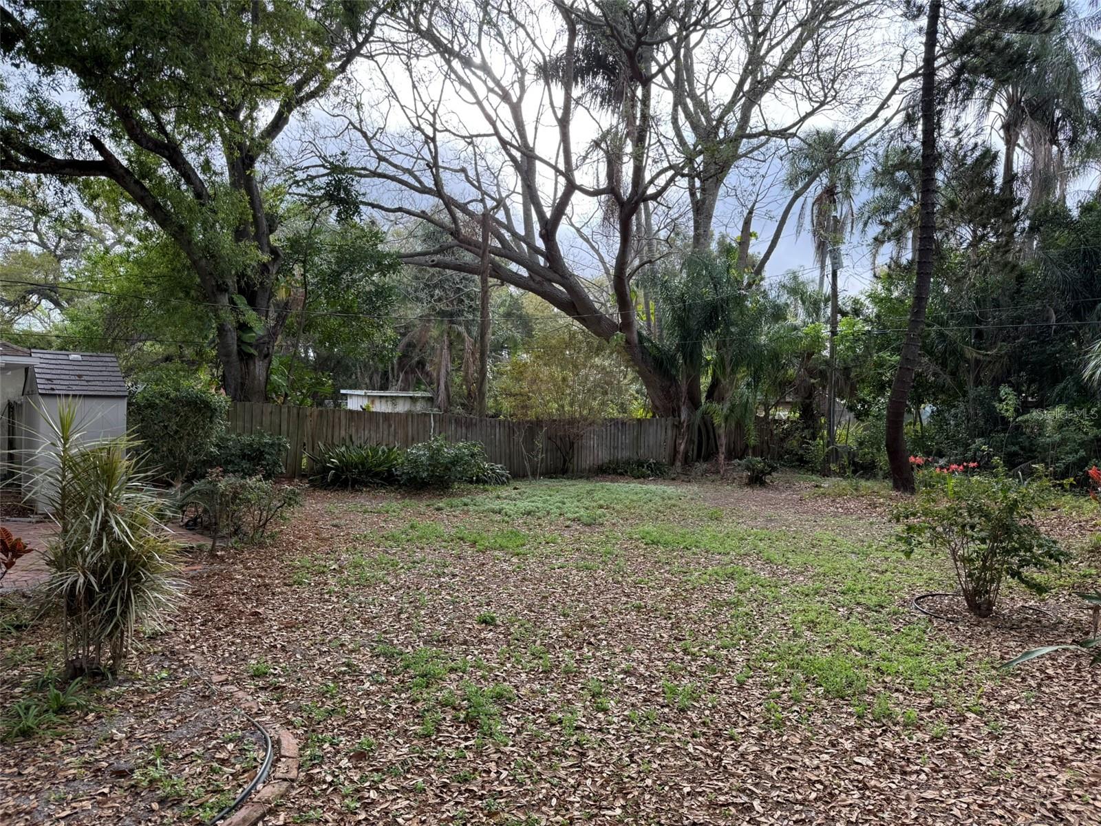 1917 Gilbert St, Clearwater, FL 33765