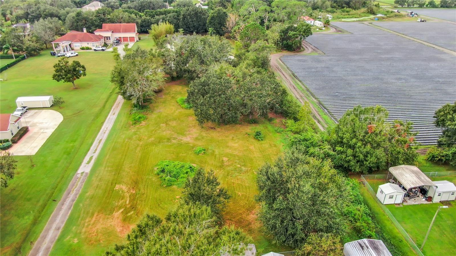 13906 Sweet Blossom Ct, Dover, FL 33527