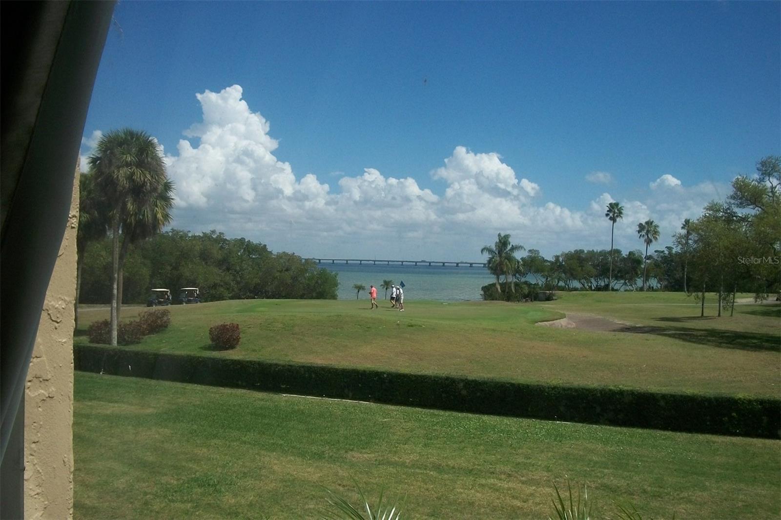 2616 Cove Cay Dr #207, Clearwater, FL 33760
