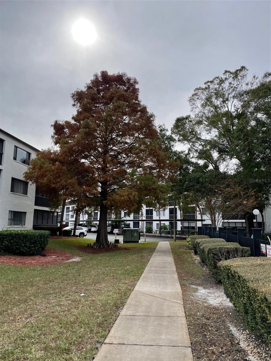 2591 Countryside Blvd #5203, Clearwater, FL 33761