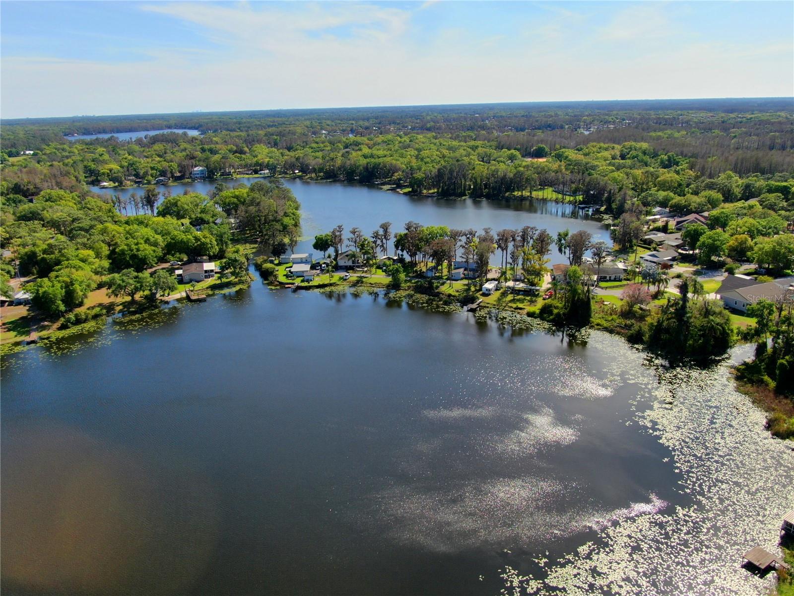 14618 Geneva Dr, Odessa, FL 33556