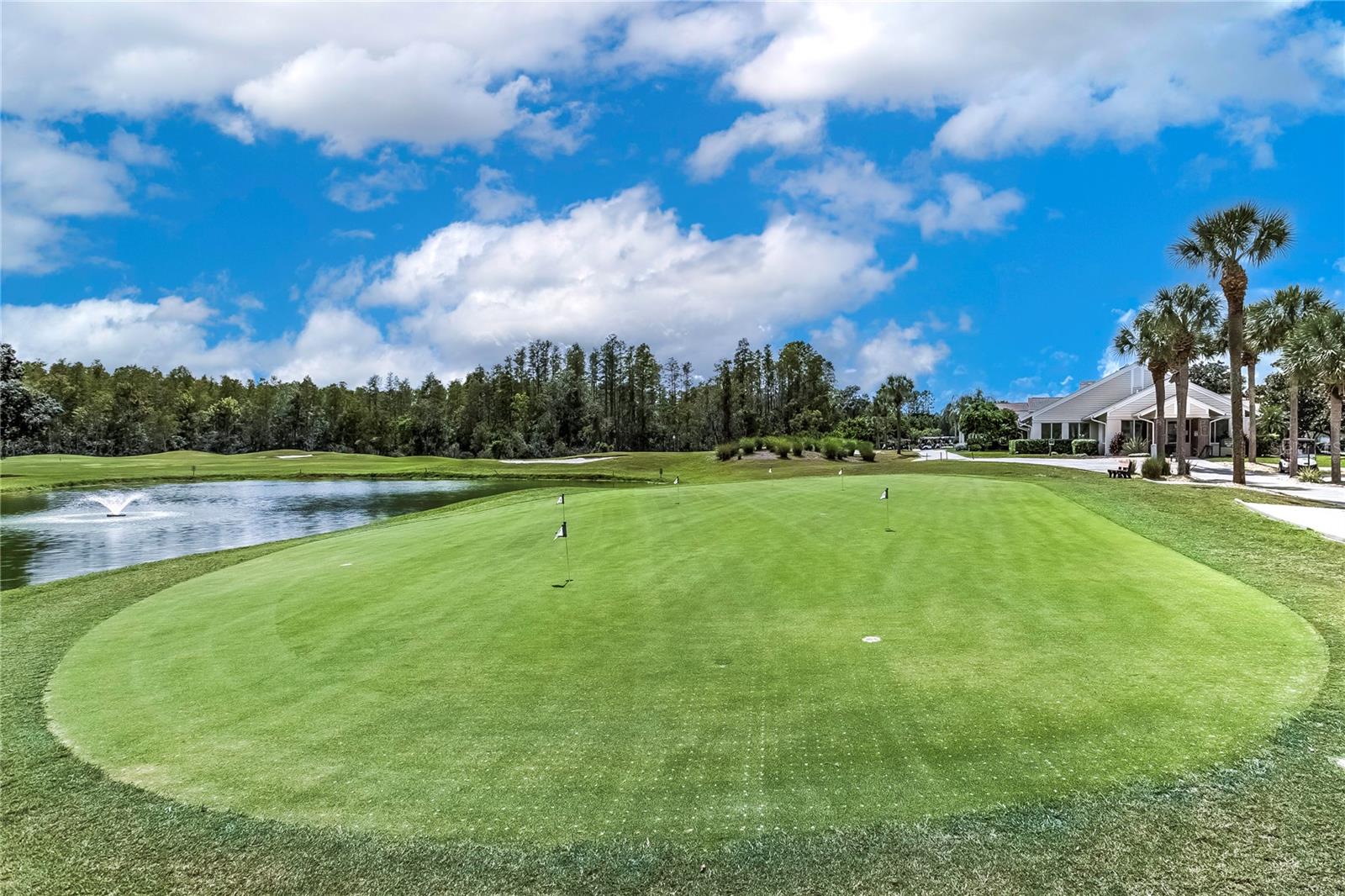 8415 Tarocco Ct, Land O Lakes, FL 34637