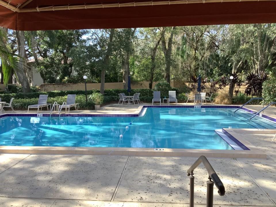 3076 Eastland Blvd #210, Clearwater, FL 33761