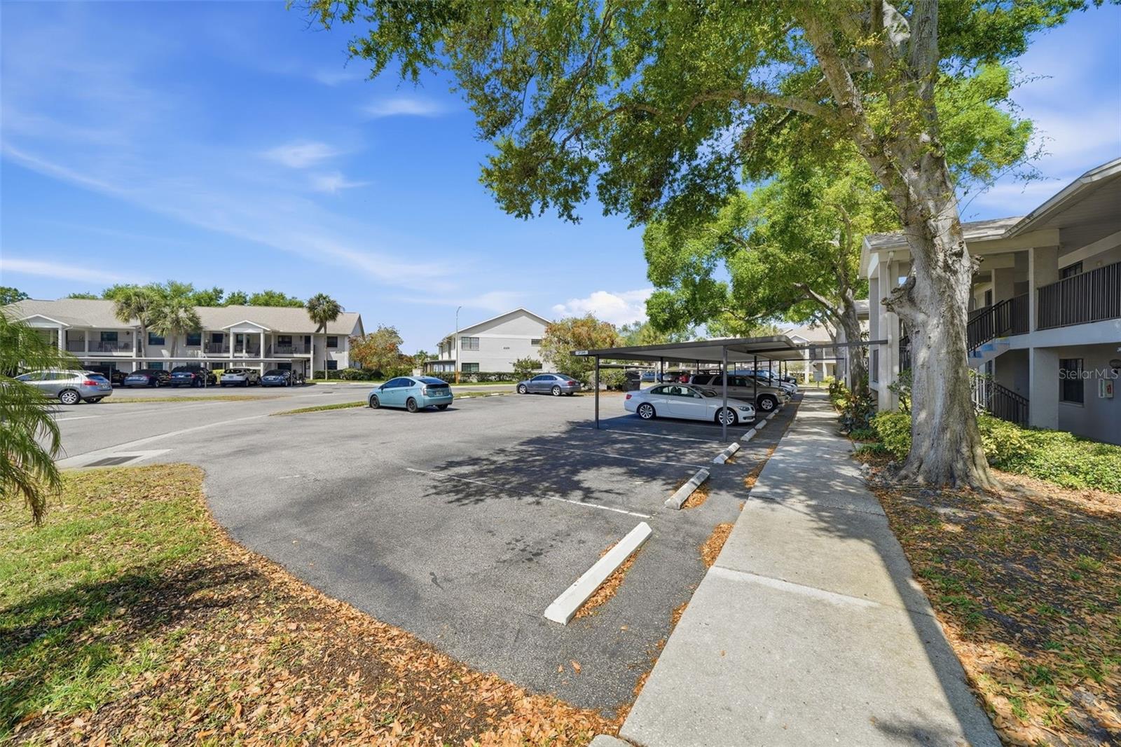 2130 Elm St #401, Dunedin, FL 34698