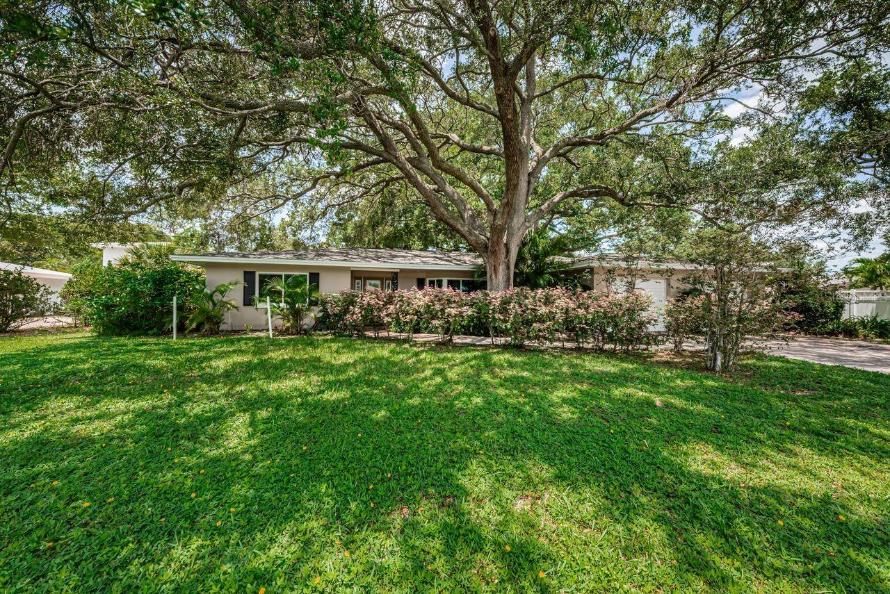 1704 Cypress Ave, Belleair, FL 33756