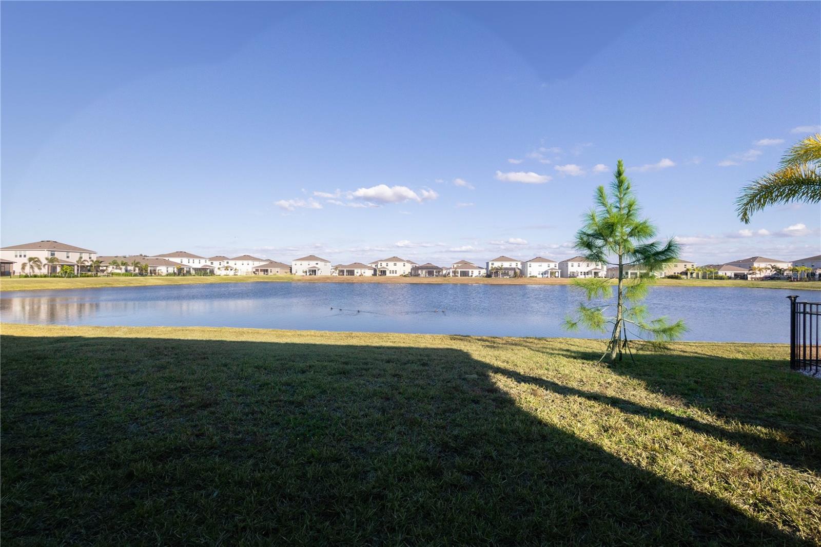345 Mangrove Manor Dr, Apollo Beach, FL 33572
