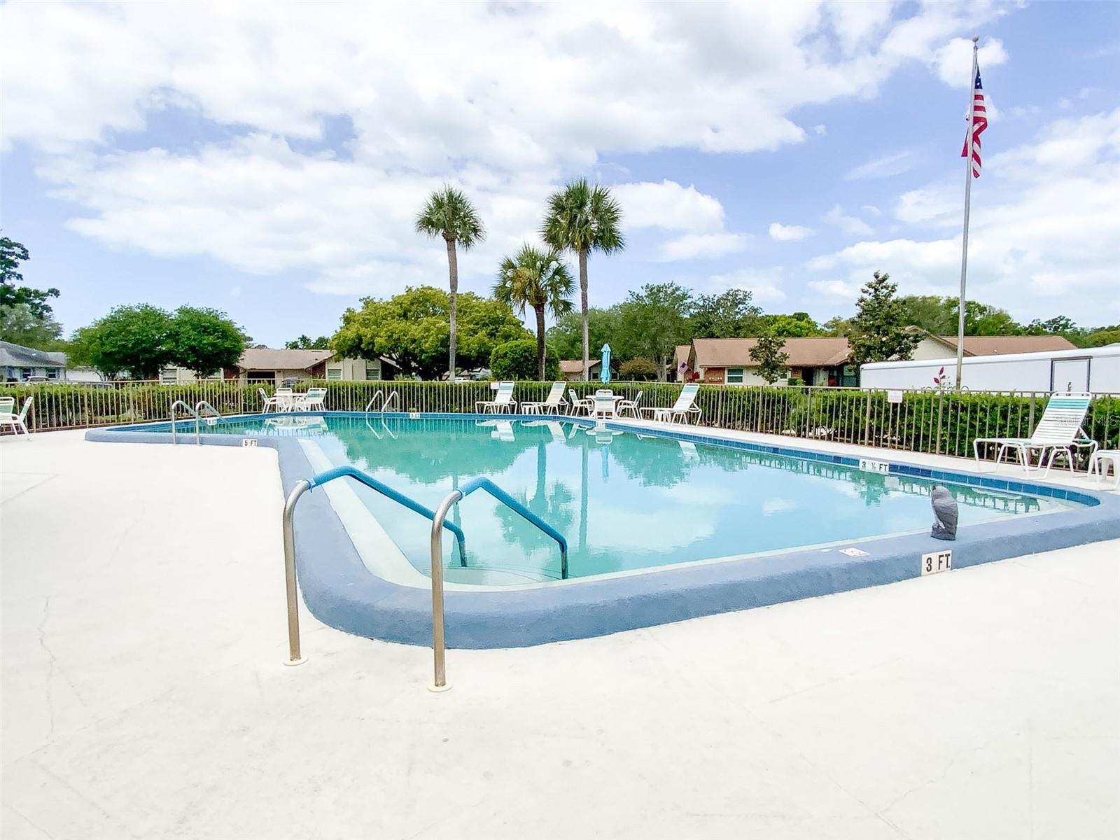 1125 Montrose Pl, Dunedin, FL 34698