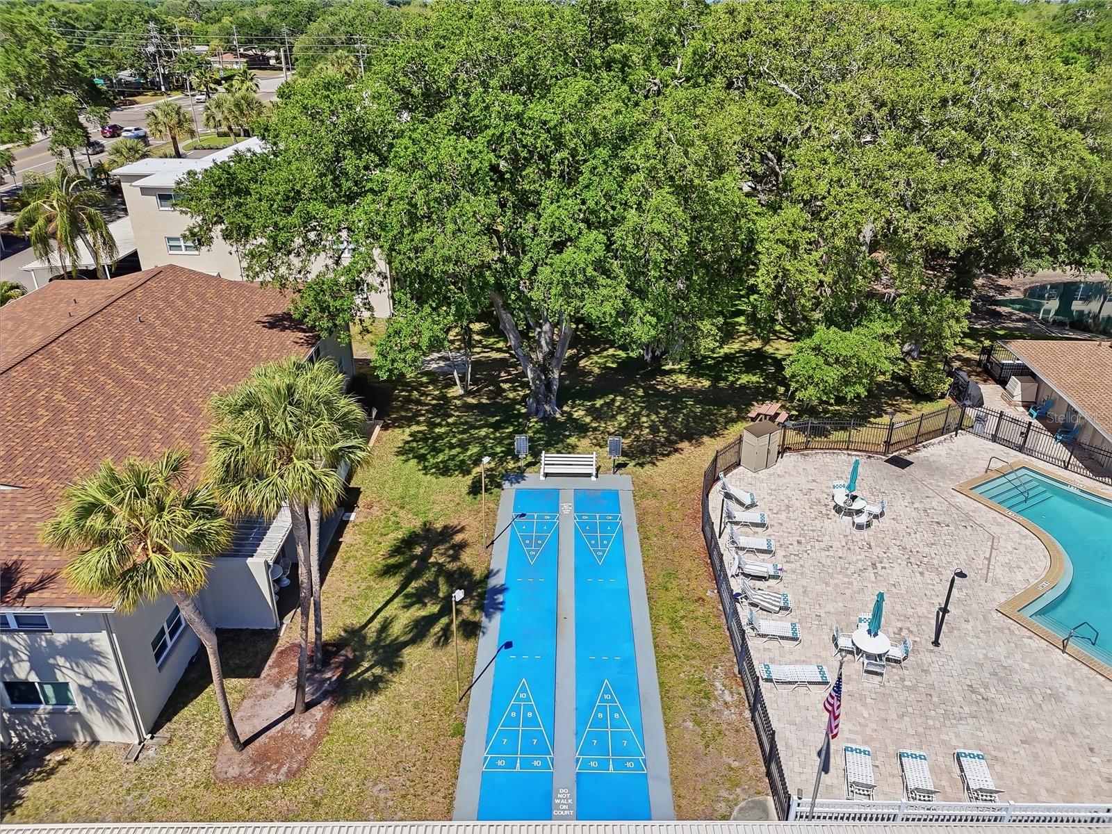 952 Virginia St #202, Dunedin, FL 34698