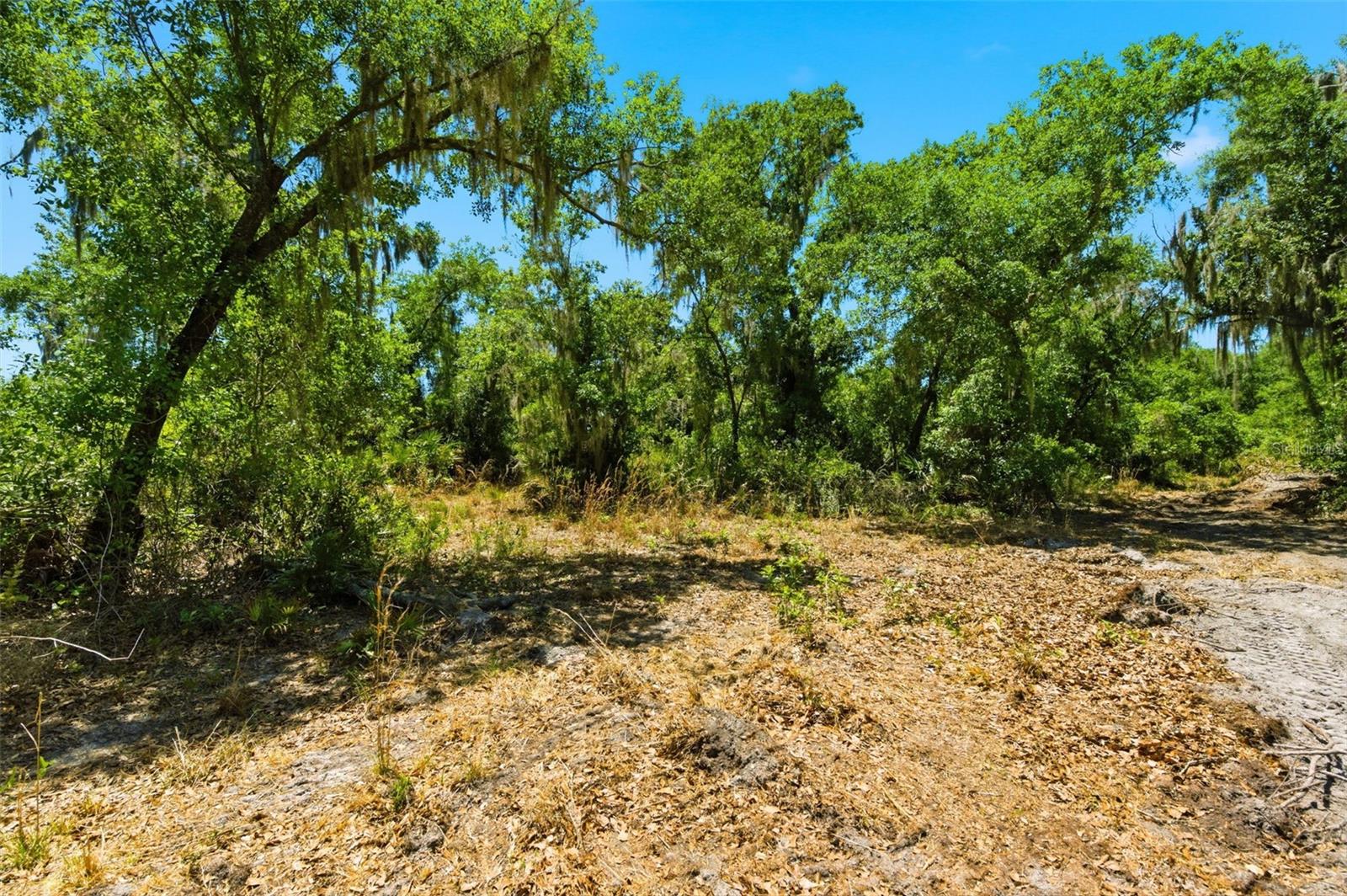 19084 Red Bird Ln LOT 3, Lithia, FL 33547
