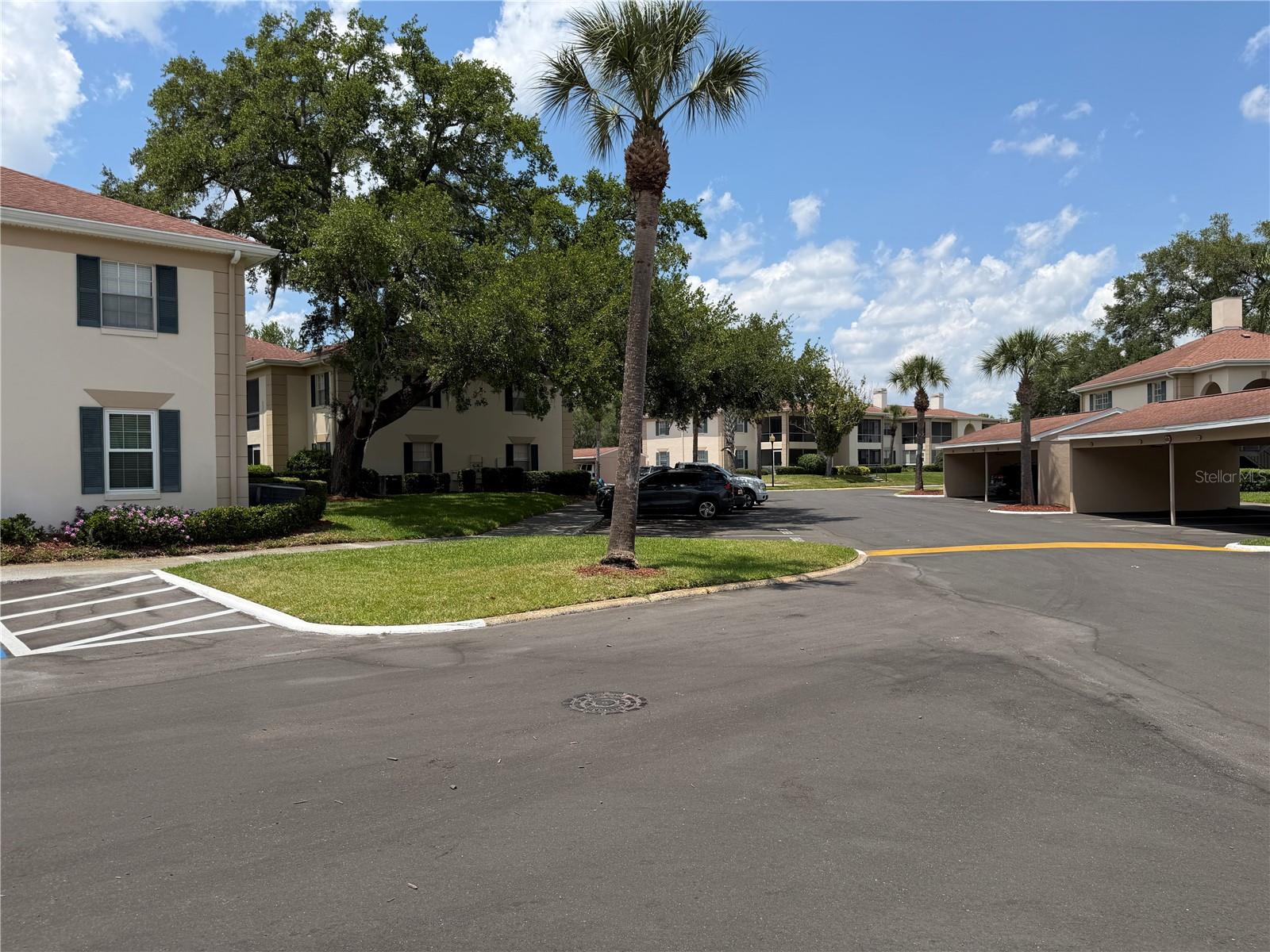 10335 Carrollwood Ln #116, Tampa, FL 33618