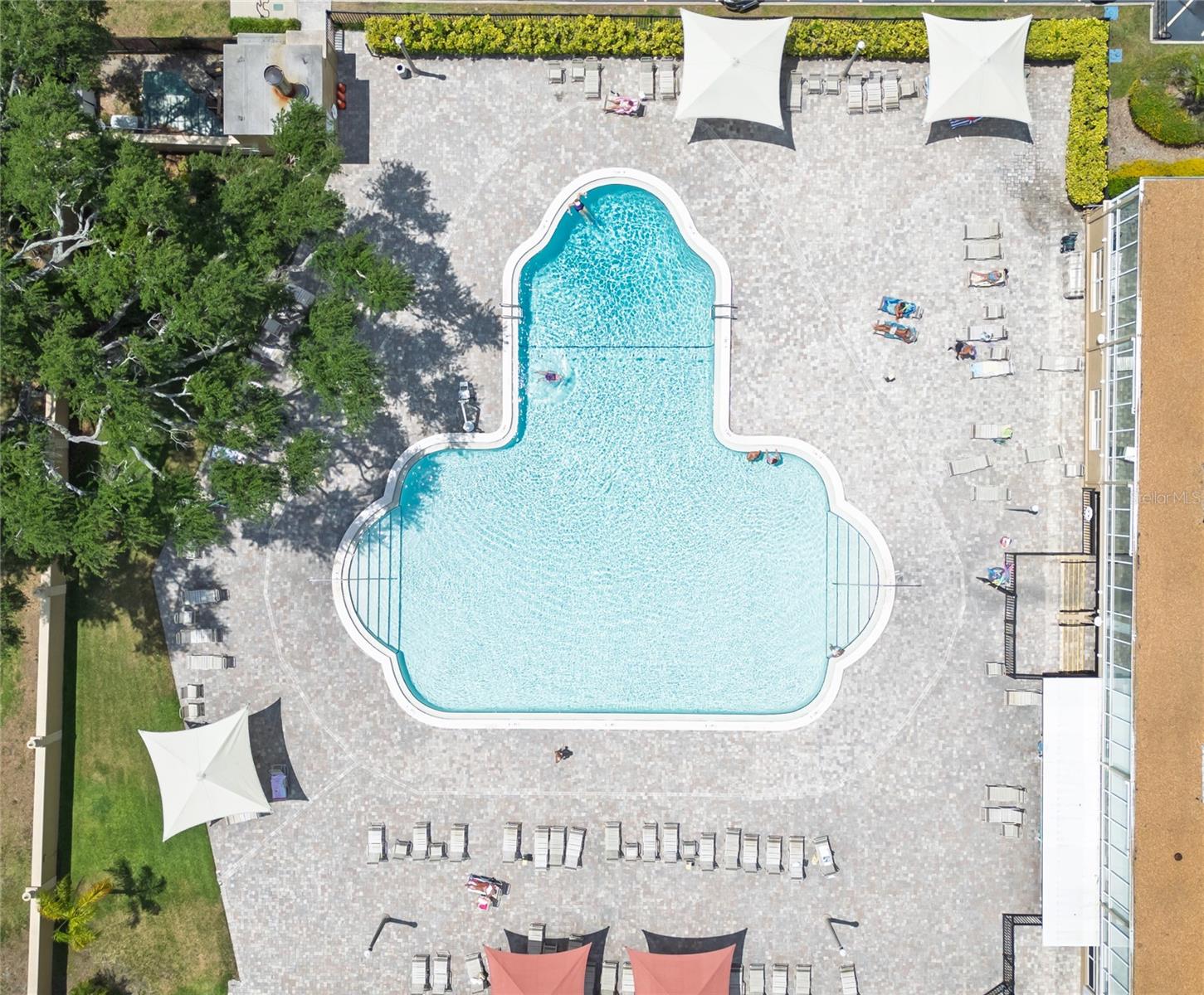 2021 Shangrila Dr #56, Clearwater, FL 33763
