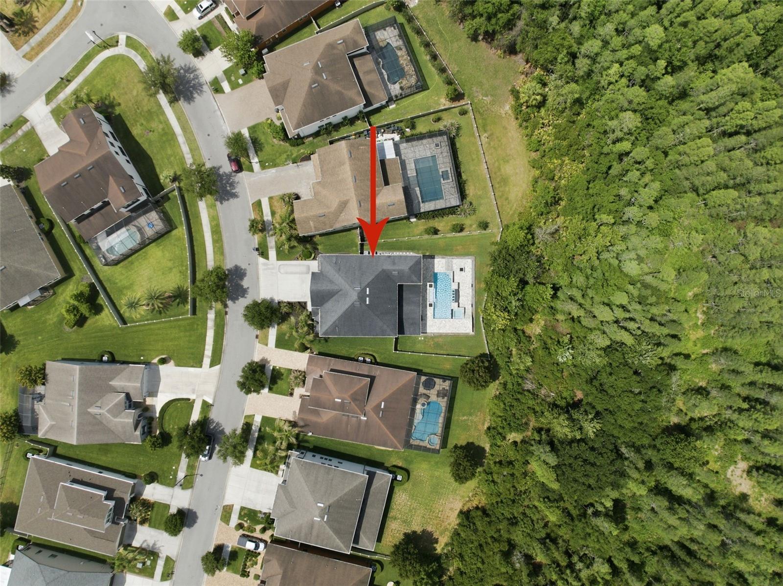 4335 Ortona Ln, Wesley Chapel, FL 33543