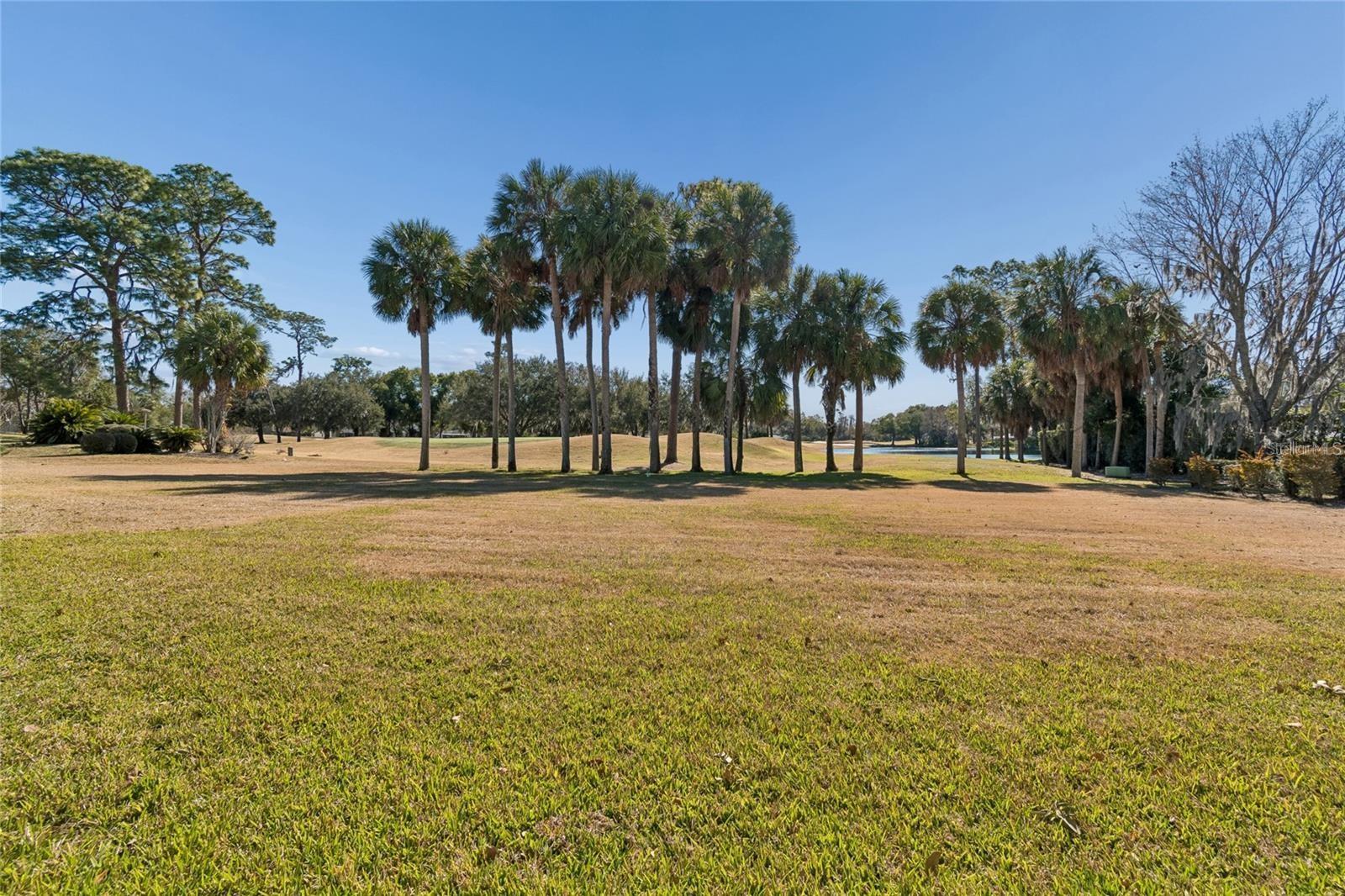 29244 Whipporwill Ln, Wesley Chapel, FL 33543