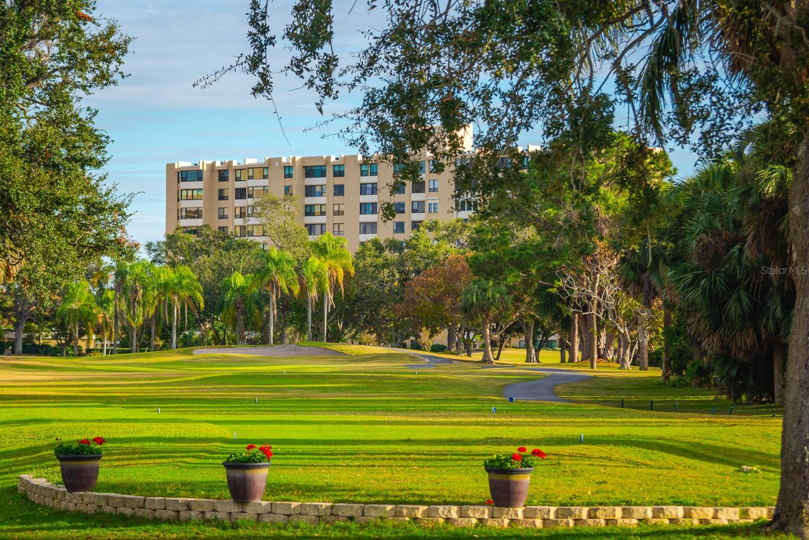 2620 Cove Cay Dr #904, Clearwater, FL 33760