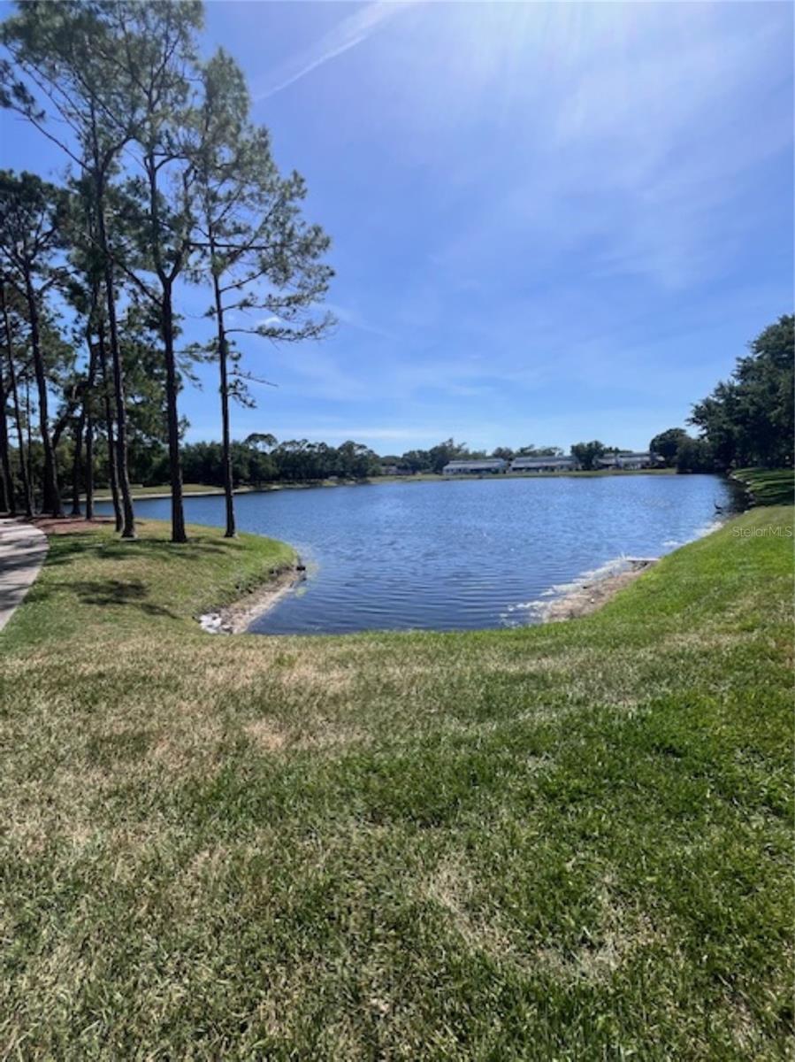 3047 Overlook Pl, Clearwater, FL 33760