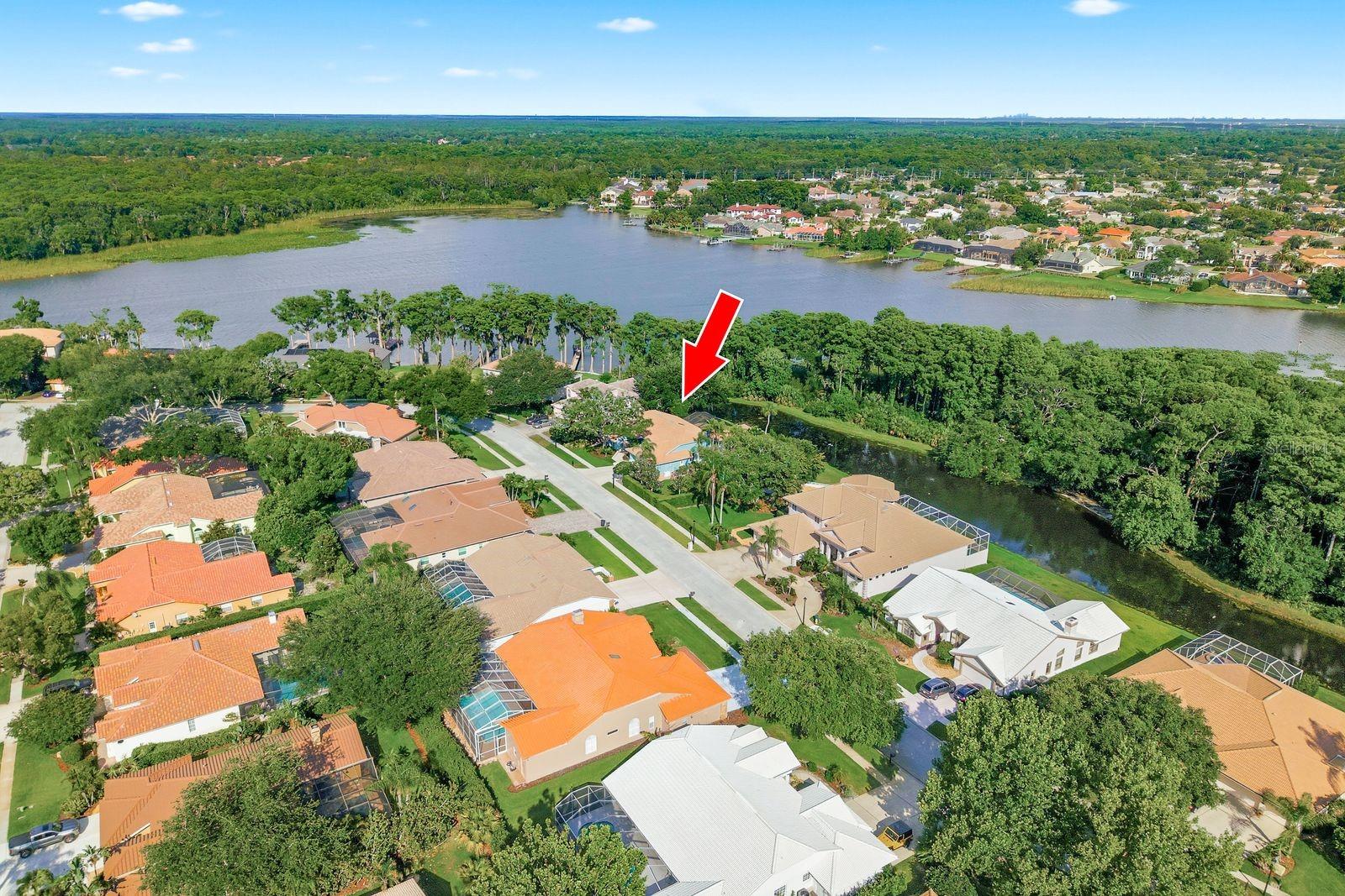 3930 Tarian Ct, Palm Harbor, FL 34684