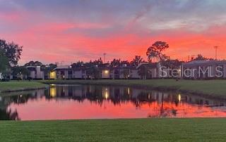 107 Lakeview Pl #7, Oldsmar, FL 34677