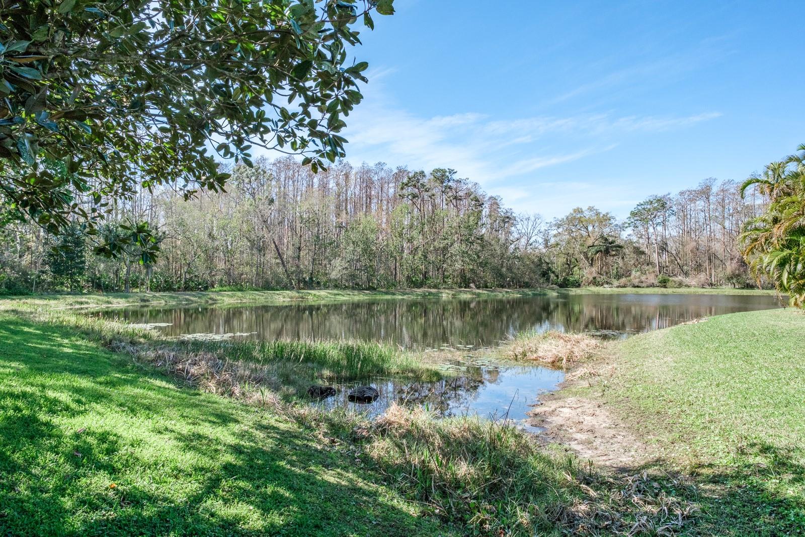 4037 Auston Way, Palm Harbor, FL 34685