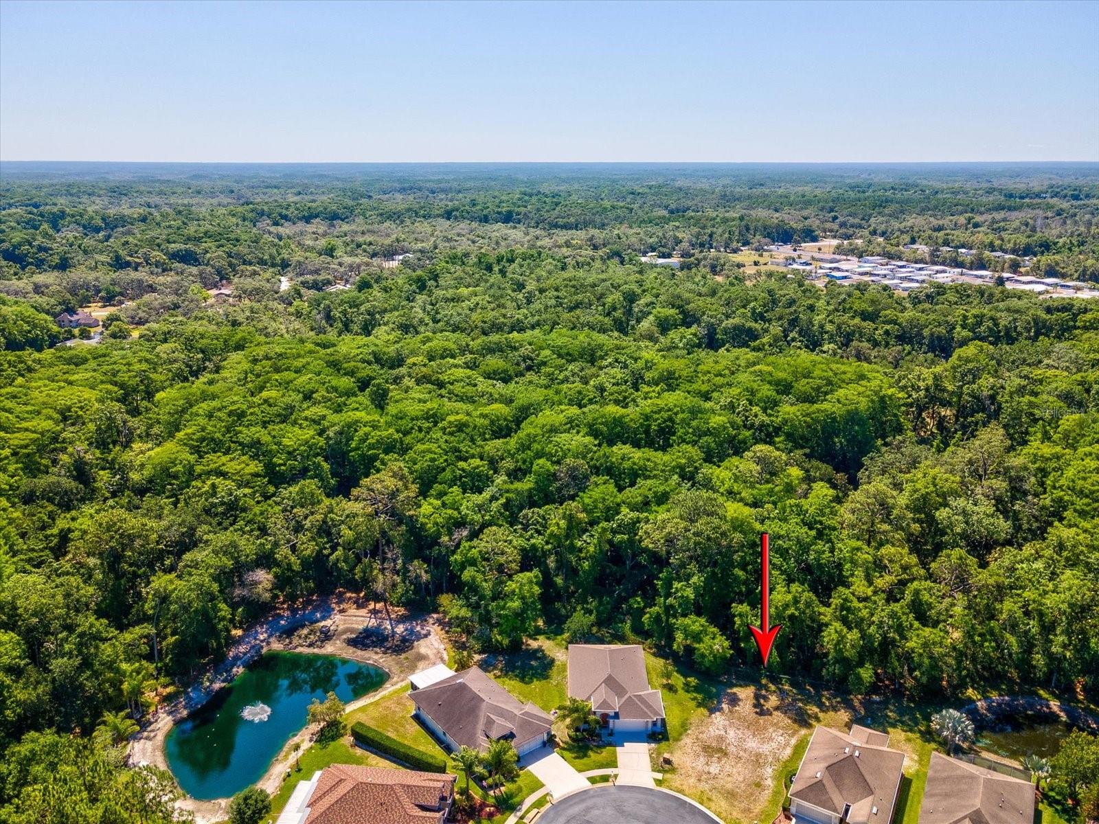 11444 Merganser Way, New Port Richey, FL 34654