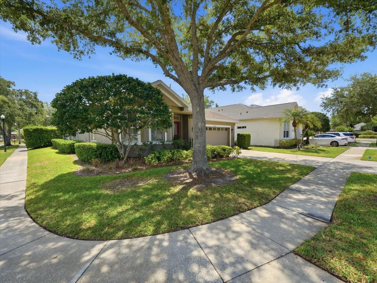 19409 Golden Slipper Pl, Lutz, FL 33558