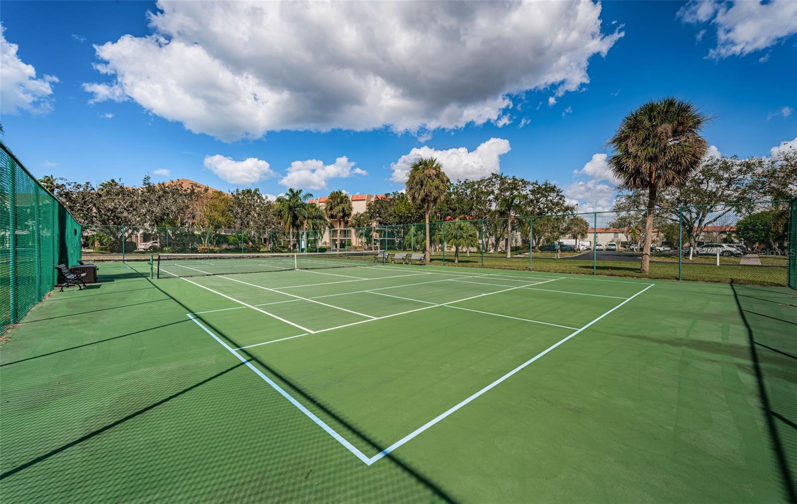 2700 Bayshore Blvd #525, Dunedin, FL 34698
