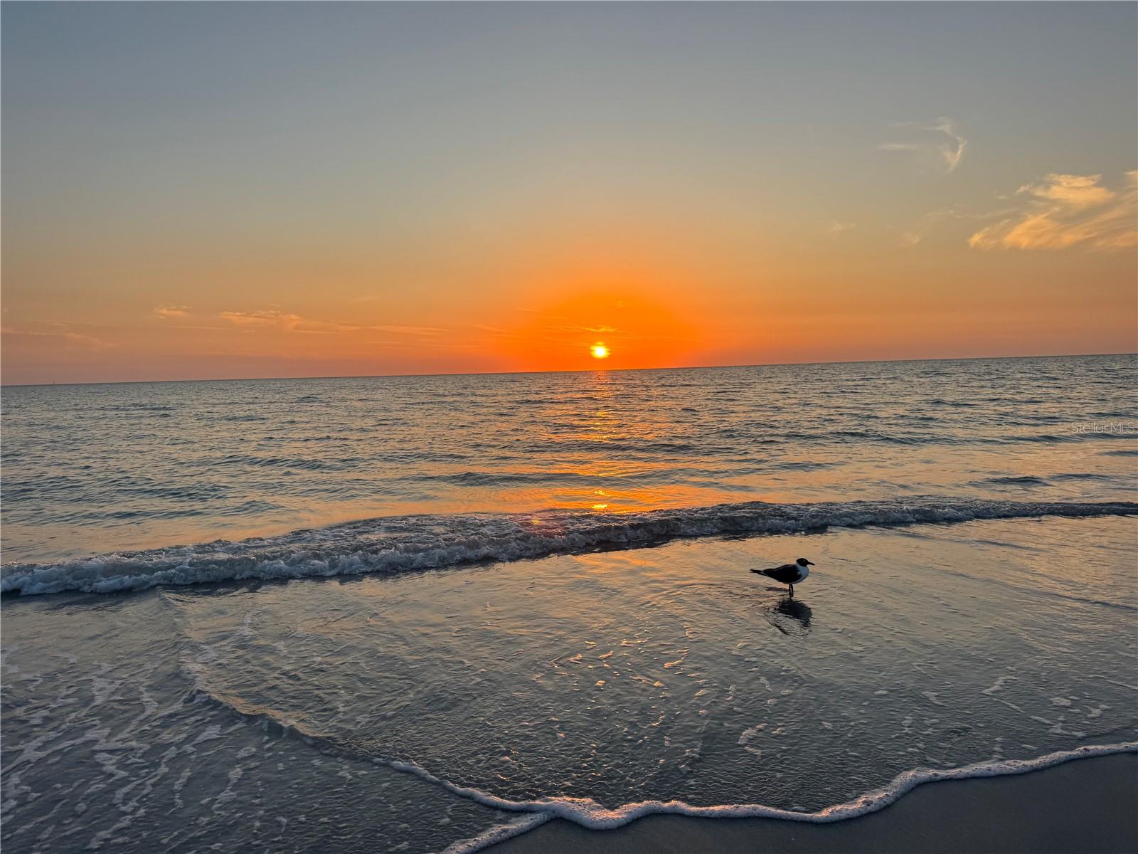 13343 Gulf Blvd #14, Madeira Beach, FL 33708