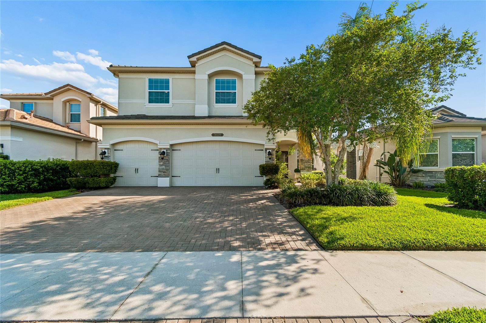 30229 Southernwood Ct, Wesley Chapel, FL 33543
