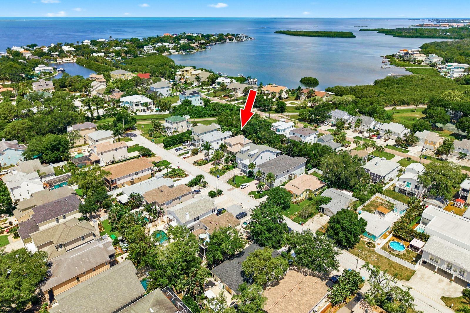 503 Palm Ave, Palm Harbor, FL 34683